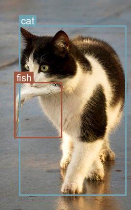 Bounding Box Example